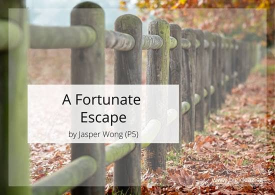 A Fortunate Escape