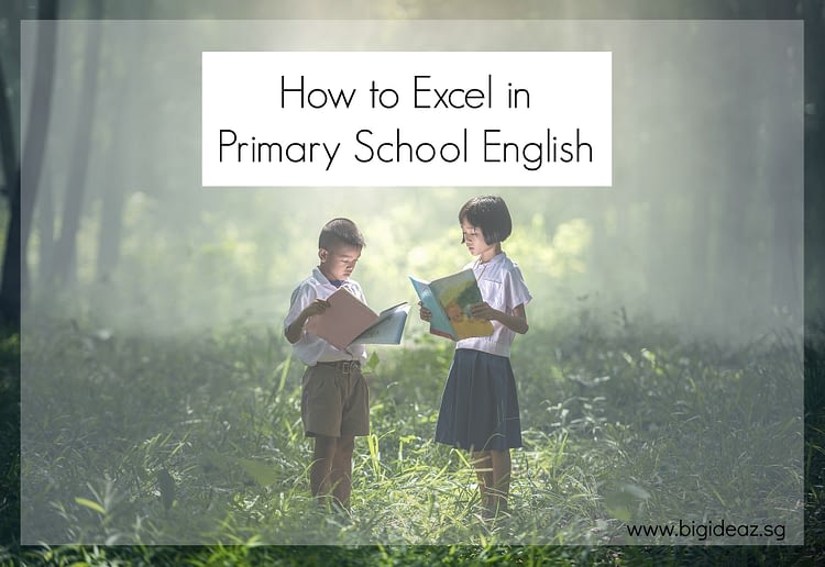Excel in Primary School English