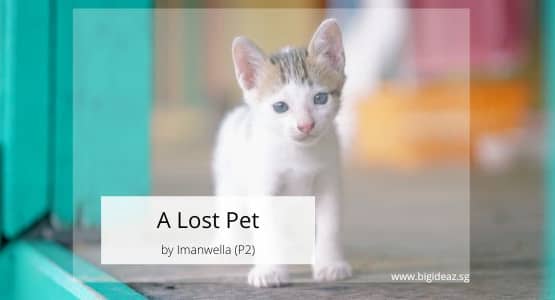 A Lost Pet composition