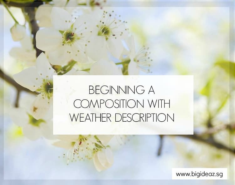 Begin Compo weather descriptions